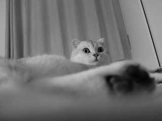 A7652479-F6A9-4B0D-8522-0E29DCE22110/L0/001