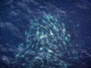 IMG_7888-1