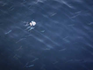 IMG_7839-1