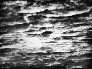 DSCF2843.jpg
