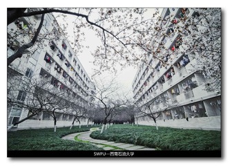 徕卡中文杂志.jpg