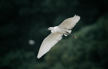 120520-小宝登云-1385.jpg