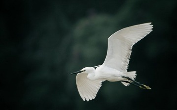 120520-小宝登云-1386.jpg