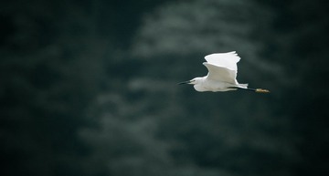 120520-小宝登云-1388.jpg