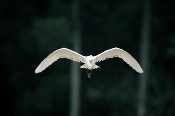120520-小宝登云-1381.jpg