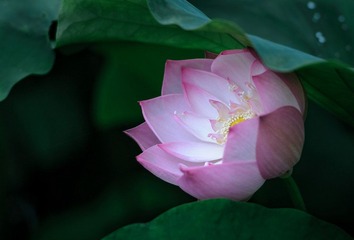 120602-茶亭小宝-1570.jpg