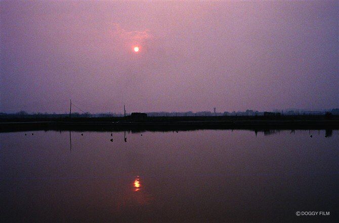 野拍<br />
Rollei 35RF<br />
Nokton40/1.4<br />
Fuji C200