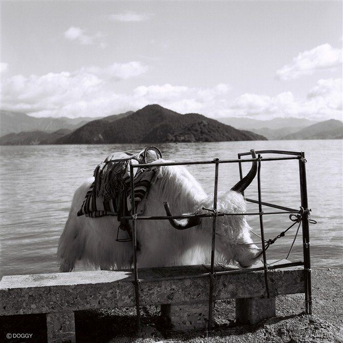 BW4<br />

