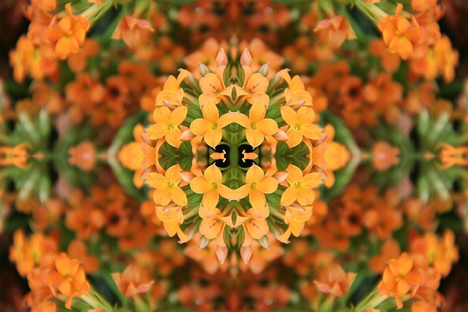 IMG_3459__<br />
