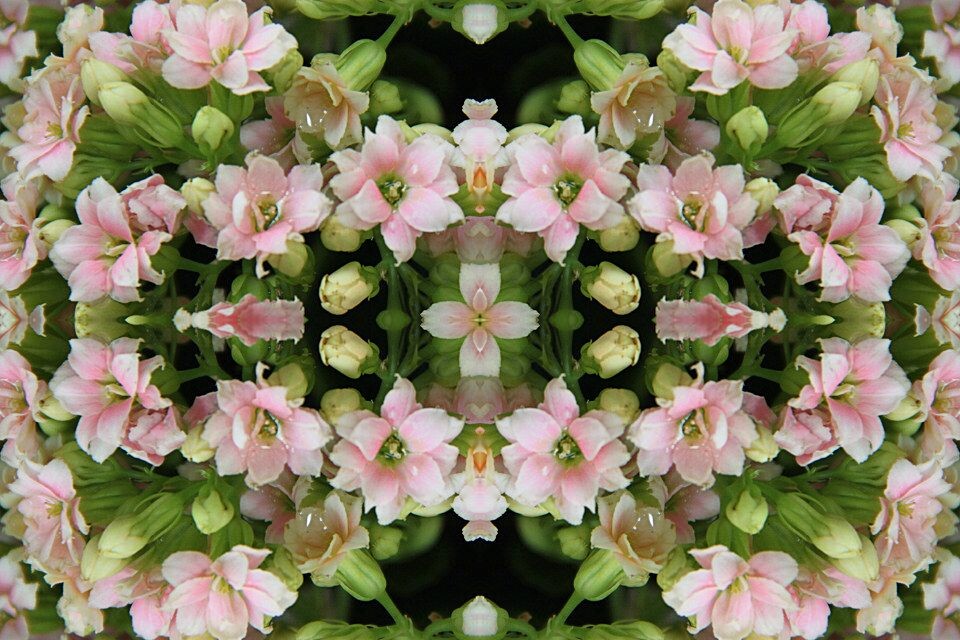 IMG_3460_<br />
