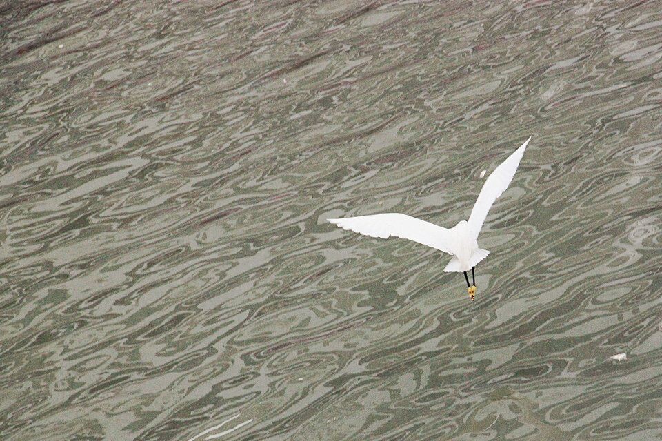 IMG_2183_<br />
