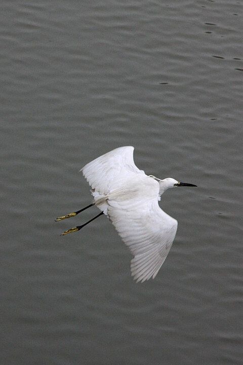 IMG_2200_<br />
