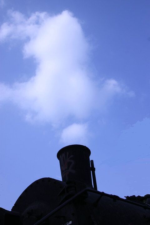 IMG_5655_<br />
