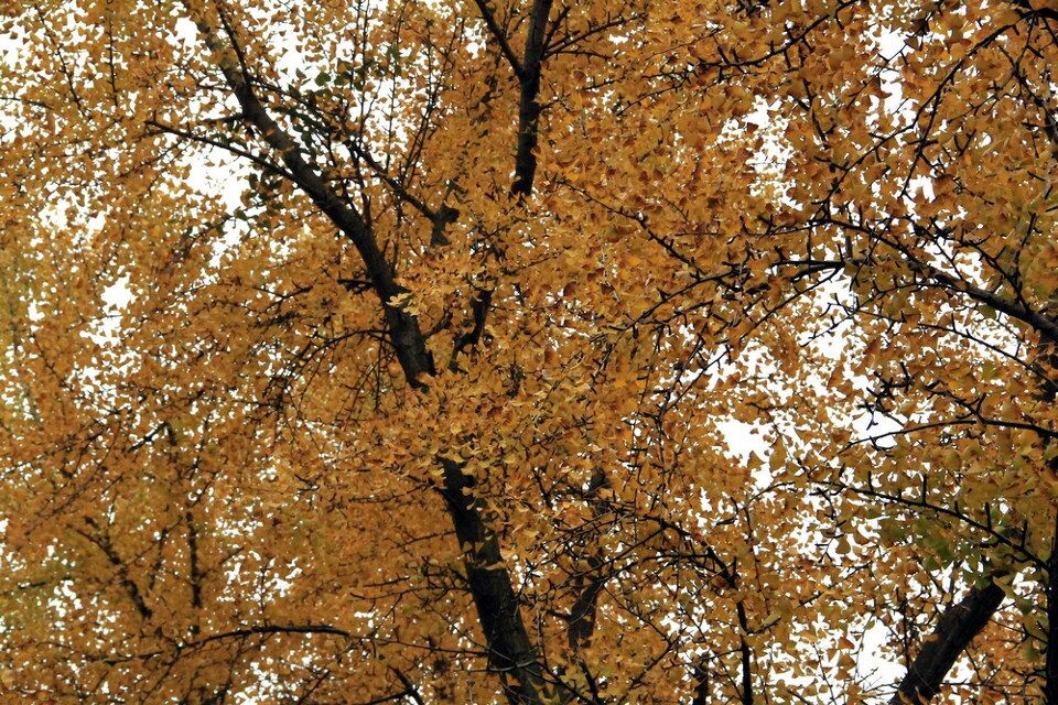 IMG_1426_<br />
