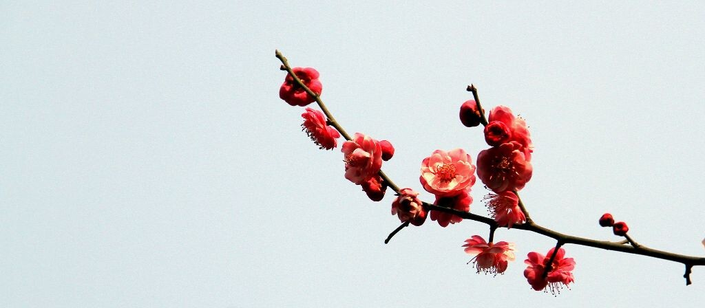 IMG_3065_<br />
