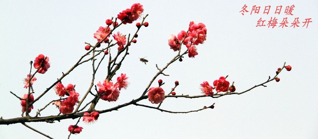 IMG_3073_<br />
