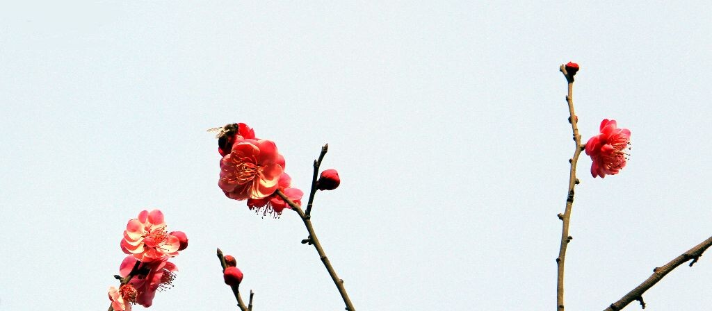 IMG_3075_<br />
