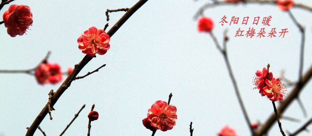 IMG_3079_<br />
