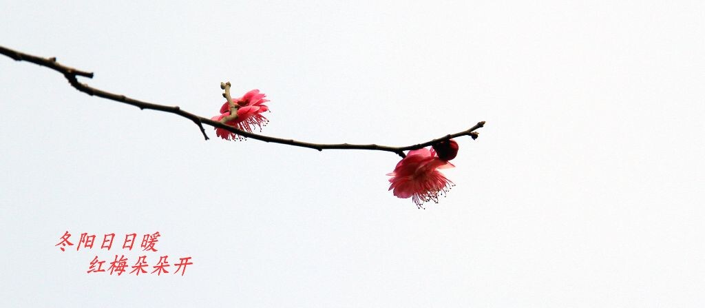 IMG_3081_<br />
