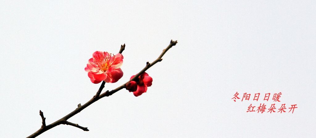 IMG_3084_<br />
