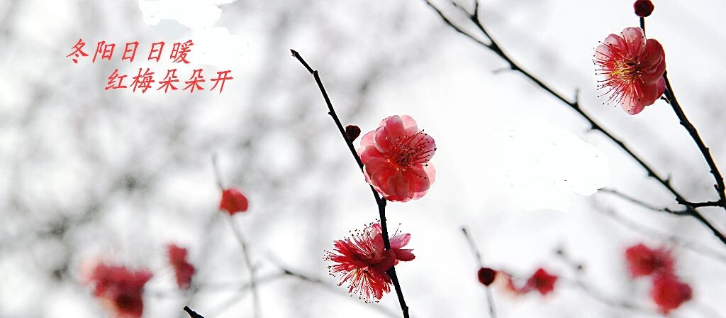 IMG_3092_1<br />
