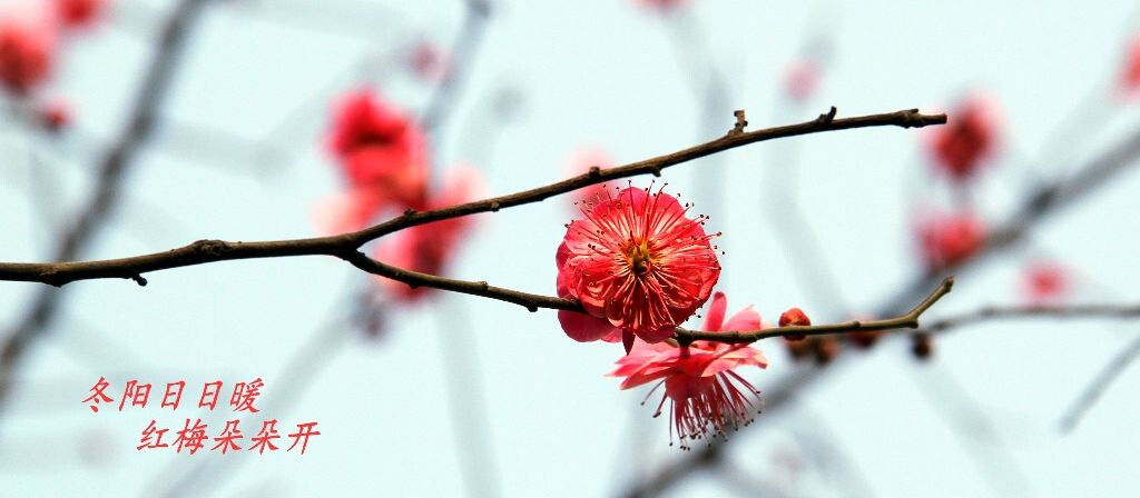 IMG_3097__<br />
