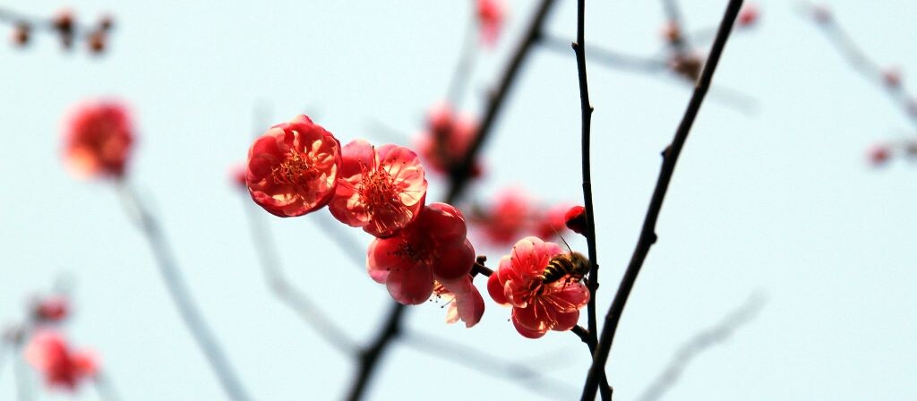 IMG_3109_<br />
