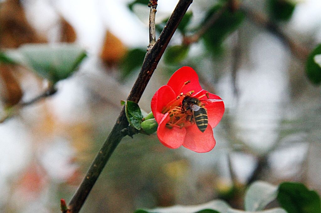 IMG_4316_<br />

