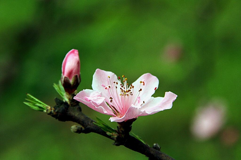IMG_6534_1<br />

