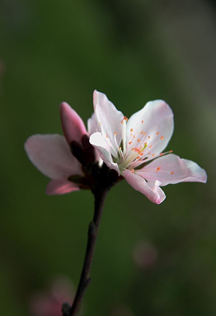 IMG_6540_<br />
