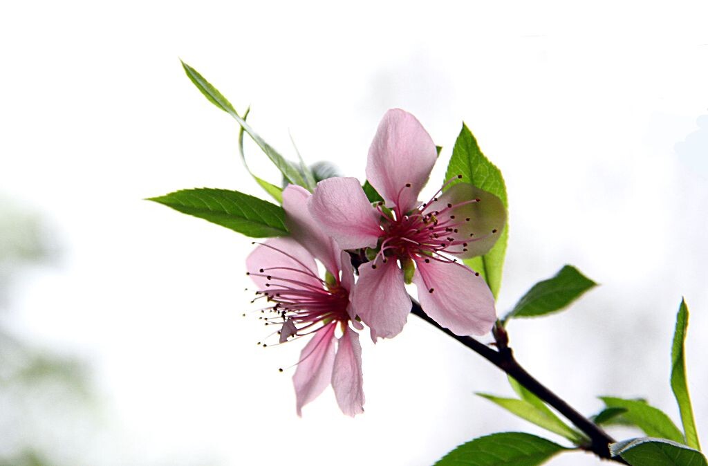 IMG_6871_<br />
