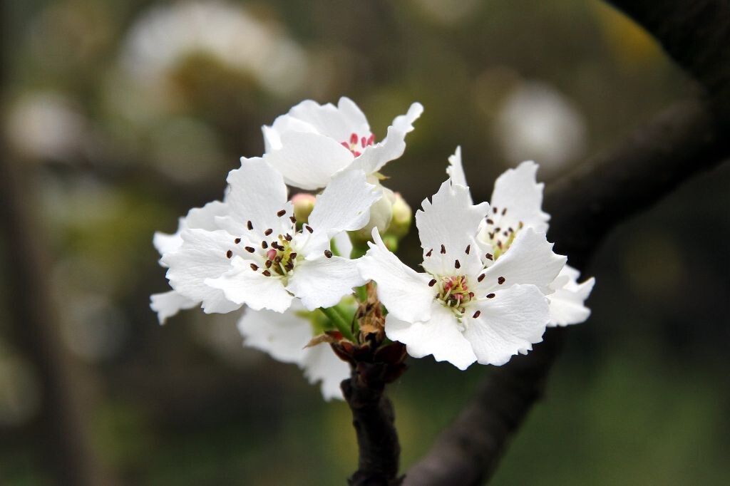 IMG_6456_<br />
