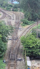 IMG_4090.JPG
