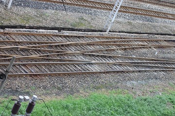 IMG_4100.JPG
