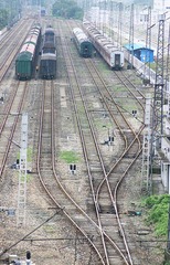 IMG_4104_副本.JPG