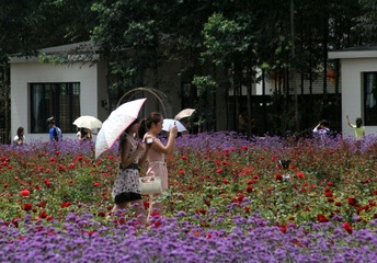 IMG_4627_副本.JPG