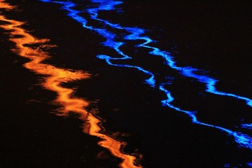 IMG_2964.JPG
