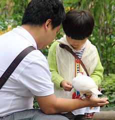 IMG_4171.JPG