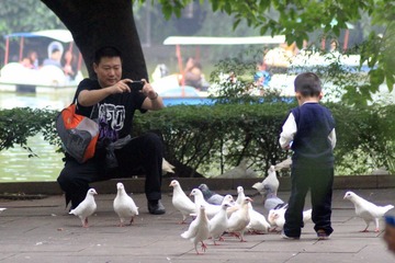 IMG_4204_副本.JPG