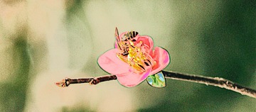 IMG_3492_副本1_HZP.jpg