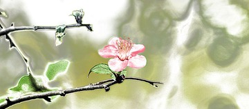 IMG_3520_副本_HZP.jpg