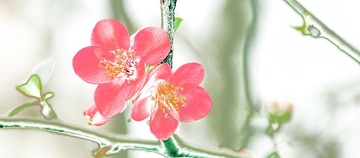 IMG_3536_副本_HZP.jpg