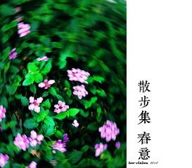 散步集.春意