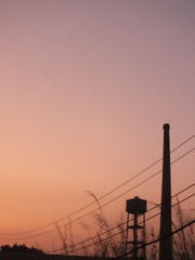 6C0A8176-17AA-4B33-A2FC-5740DC31B7A4/L0/001