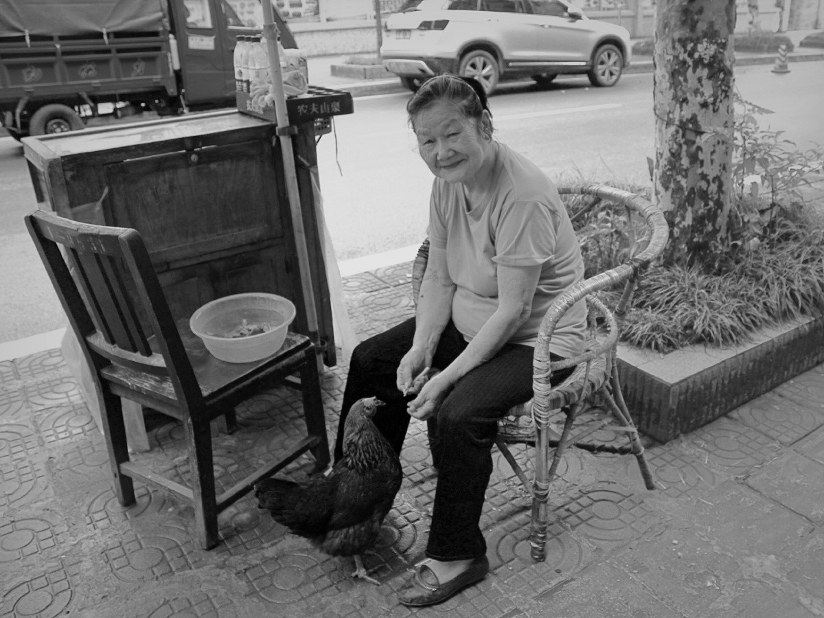 进食时间 - 熊嘎婆 - 图虫