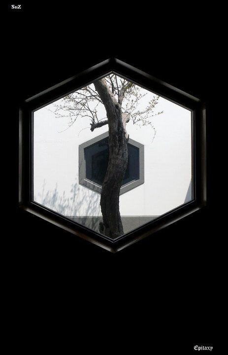 形状<br />
