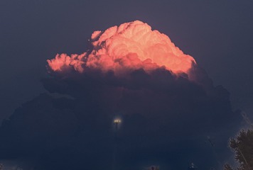 10051