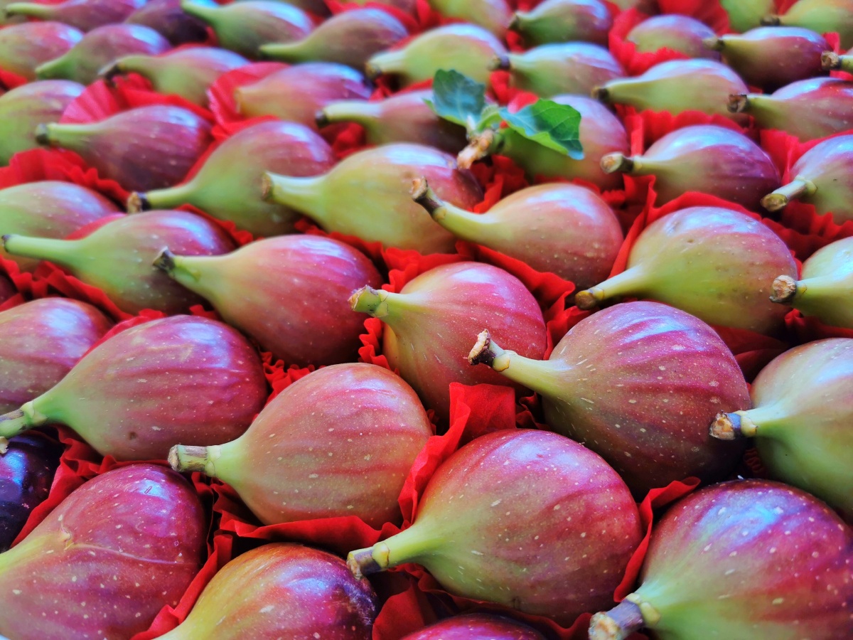 排列整齐的无花果