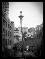 20130113_Devenport_OneTreeHill_0216.jpg