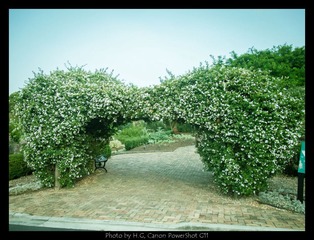 20130119_Botanic_Garden_0102.jpg
